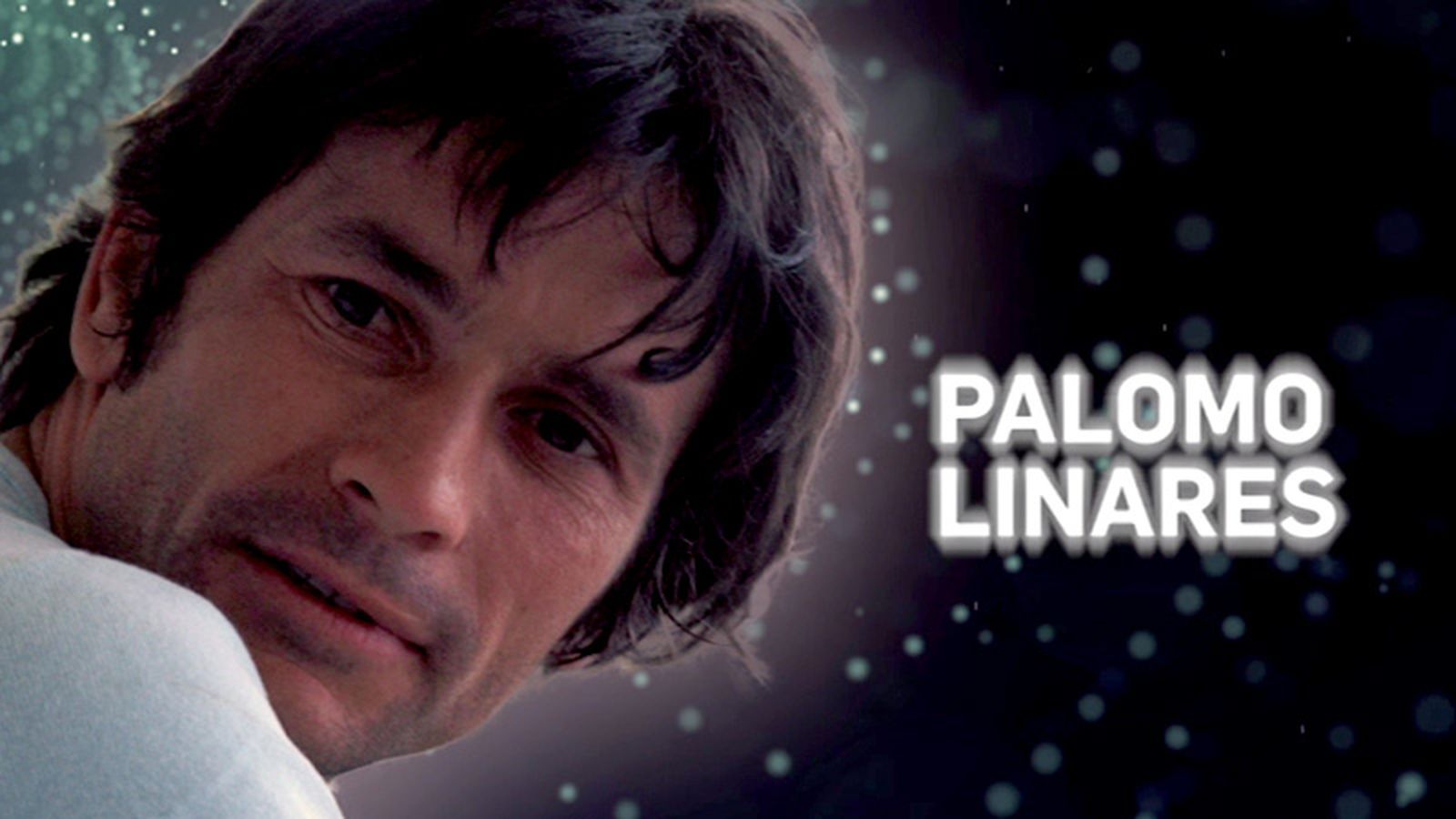 Tapa promo El legado de Palomo Linares