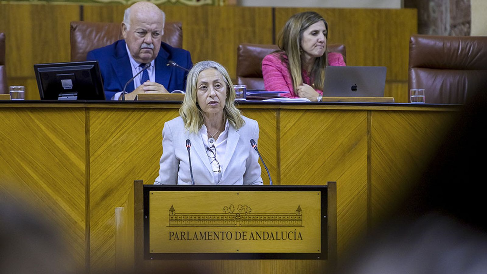 Foto consejera de Salud, Rocío Hernández