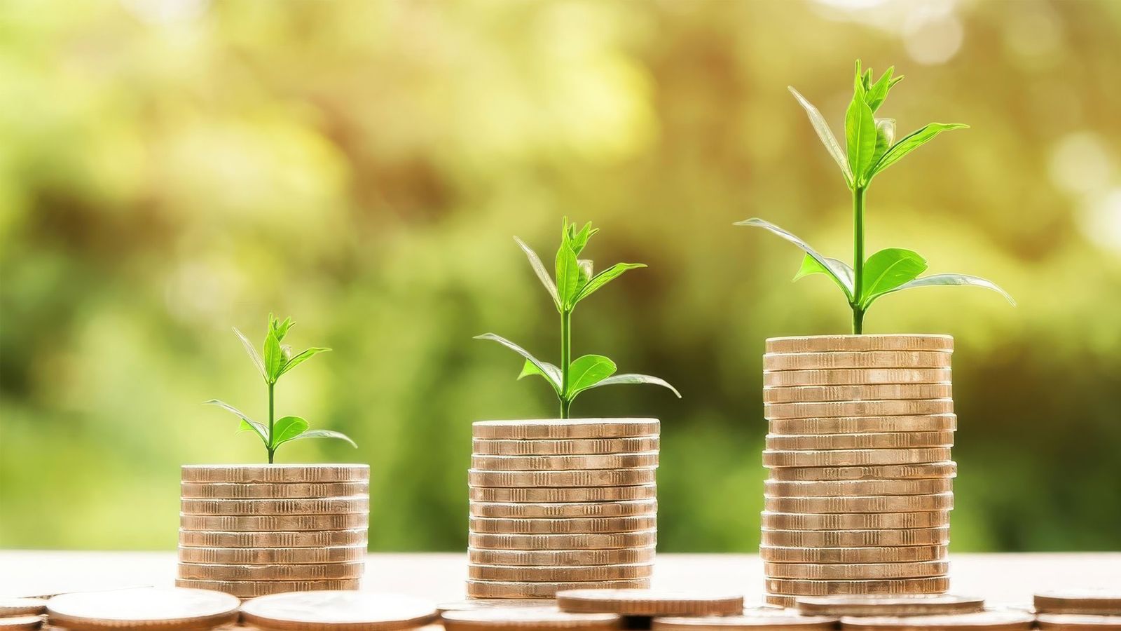Los pilares fundamentales de una economía saludable