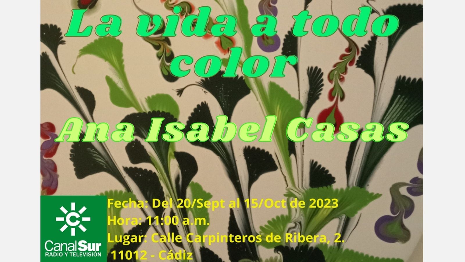 exposición Cádiz la vida en otro color