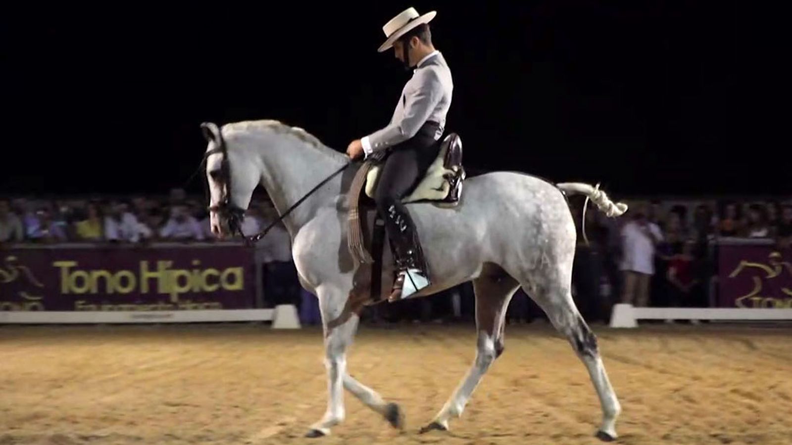 Características que debe tener un caballo de doma vaquera