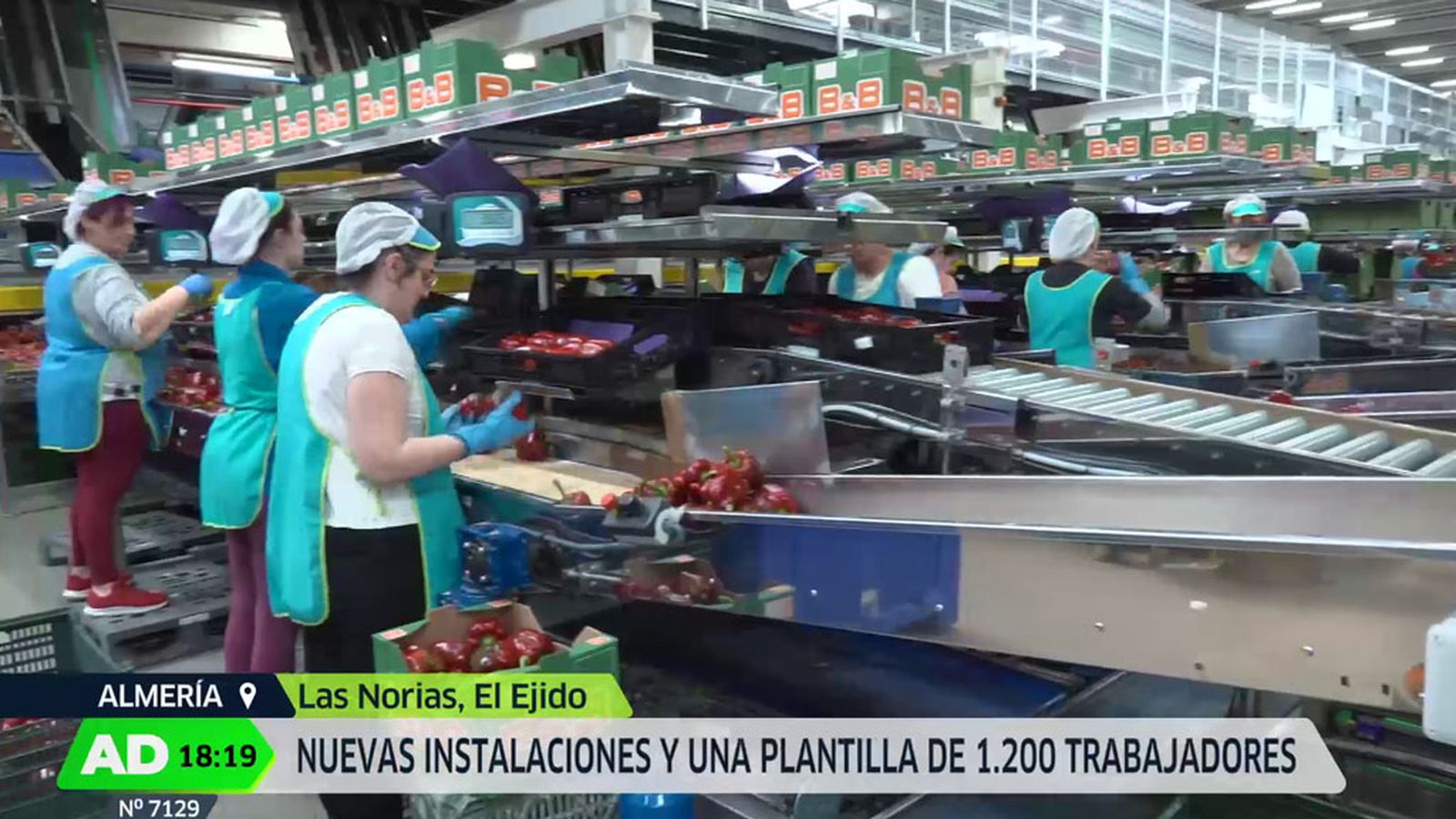 Reabre una cooperativa hortofrutícola en El Ejido tras un incendio