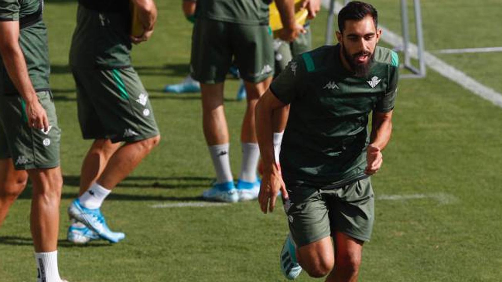 tapa betis
