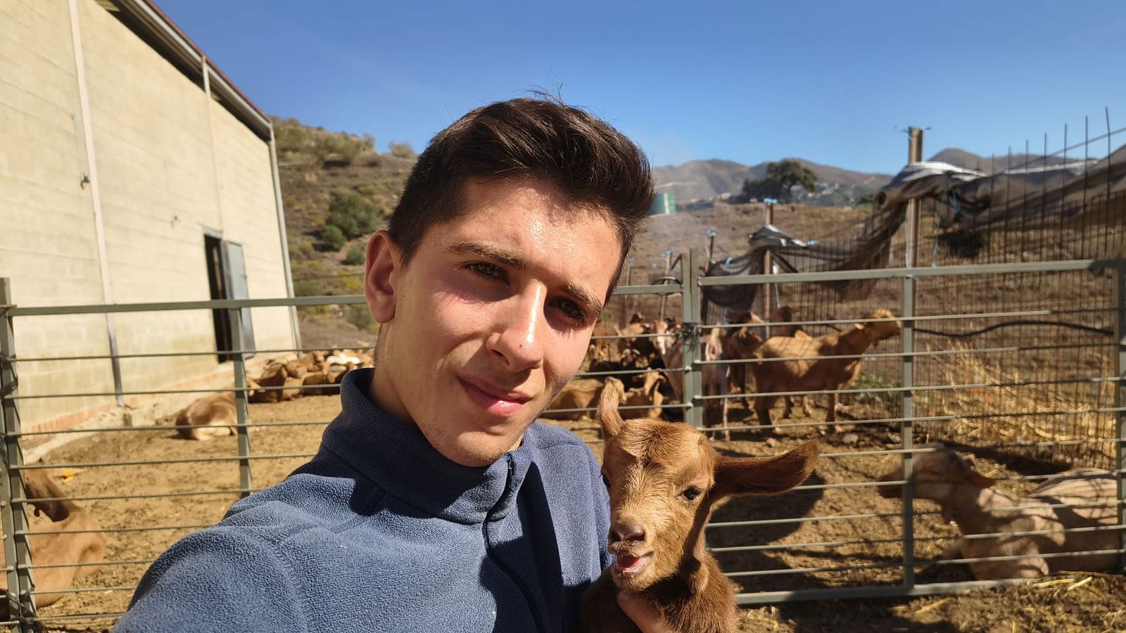 David Tomé, el cabrero más joven de Andalucía