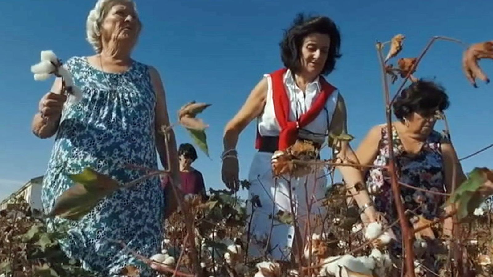 documental algodoneras Guadalcacín 1024