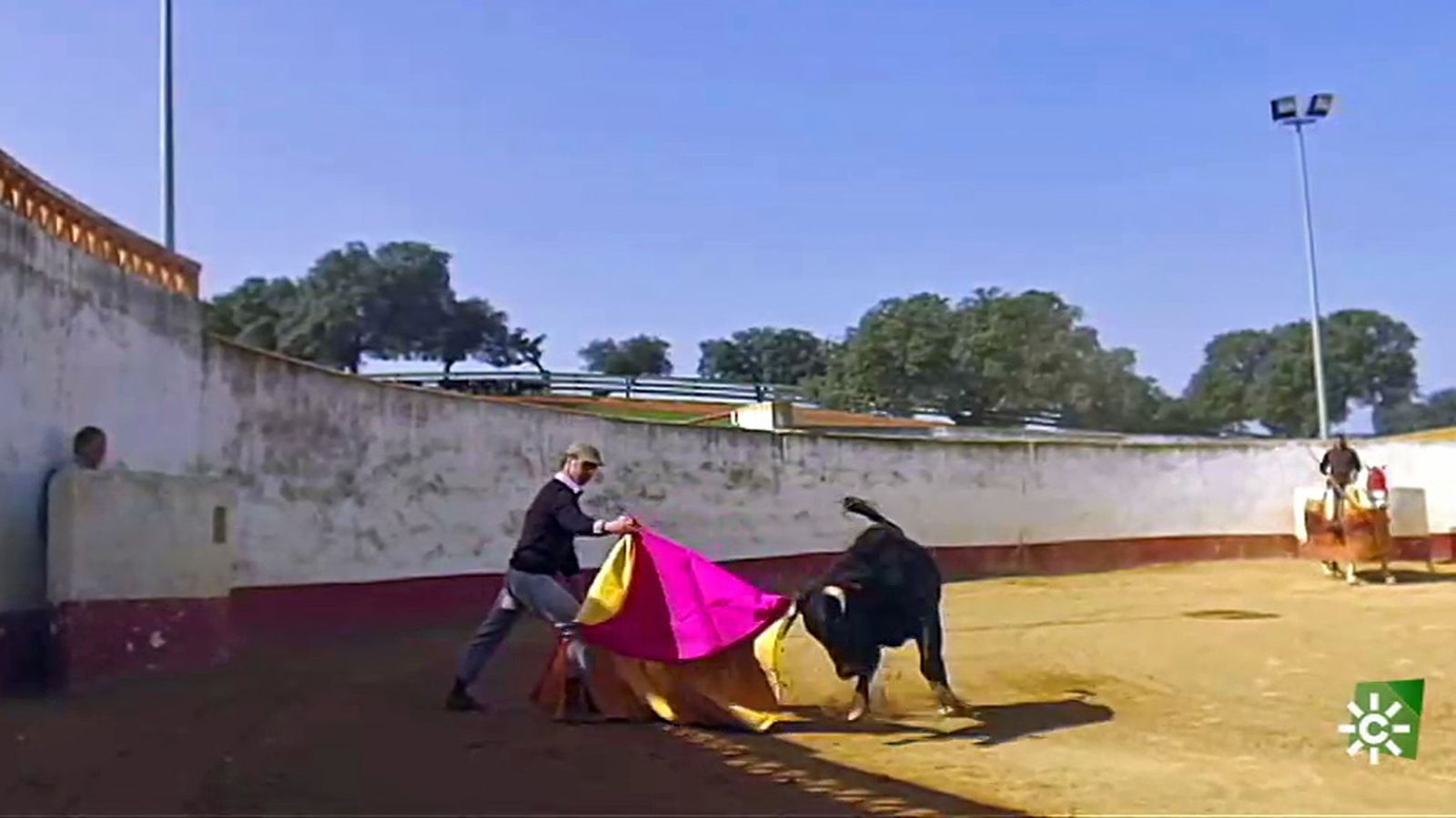 N2_toros