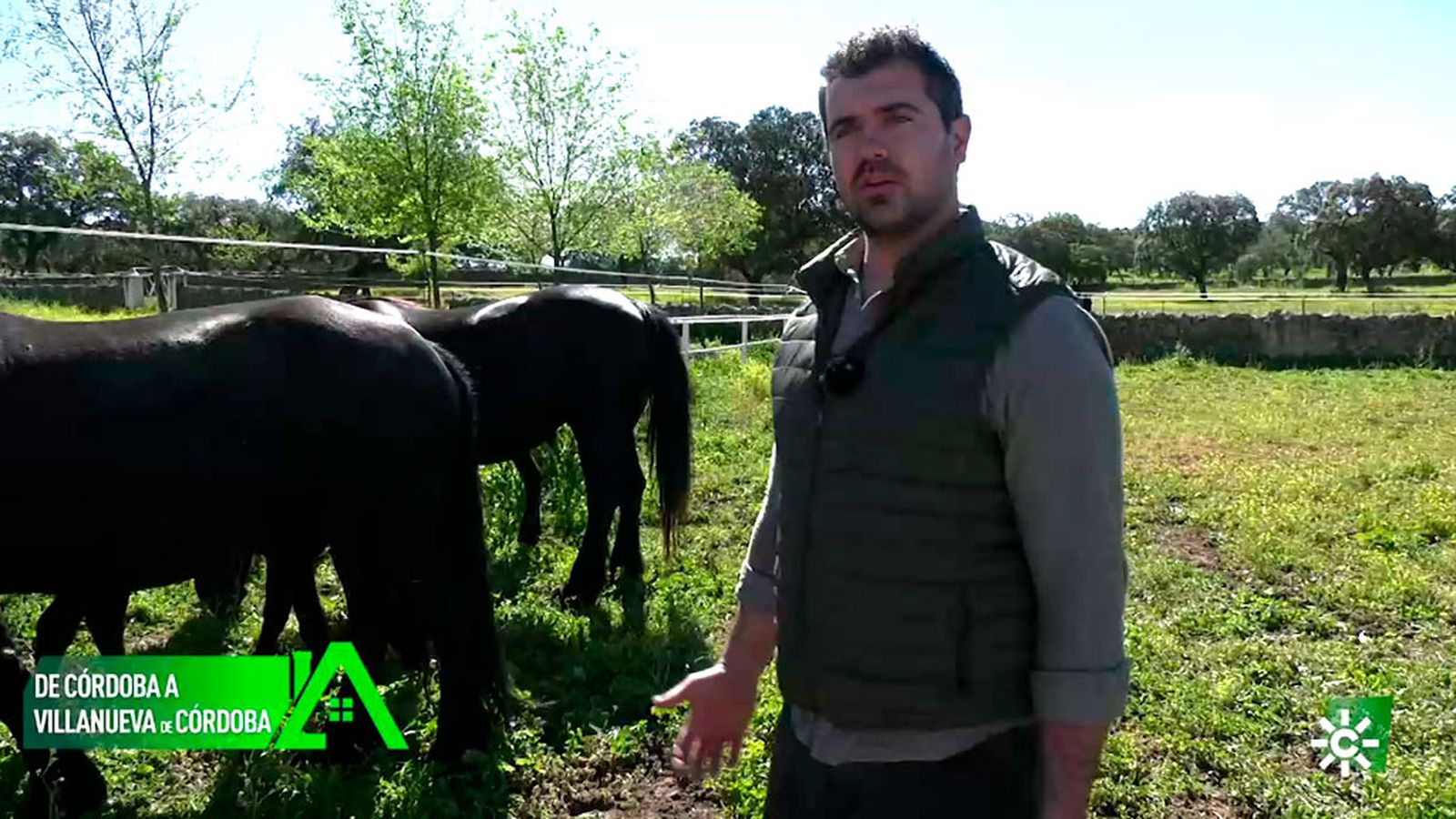 En Villanueva de Córdoba ha creado su propia ganadería de caballos frisones