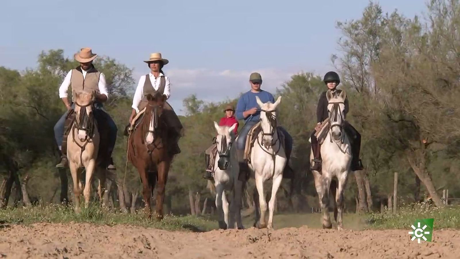 Por qué es muy recomendable pasear a caballo