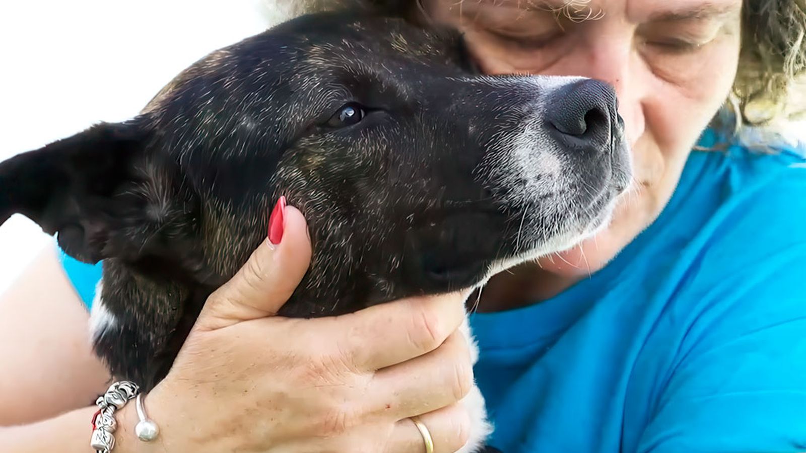 Celebramos 100 programas de respeto y amor a los animales