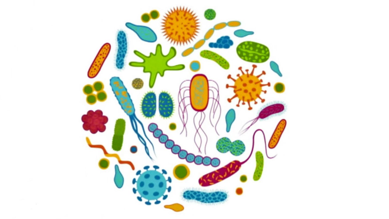 ¿Sabías que compartimos microbiota con las personas más cercanas?
