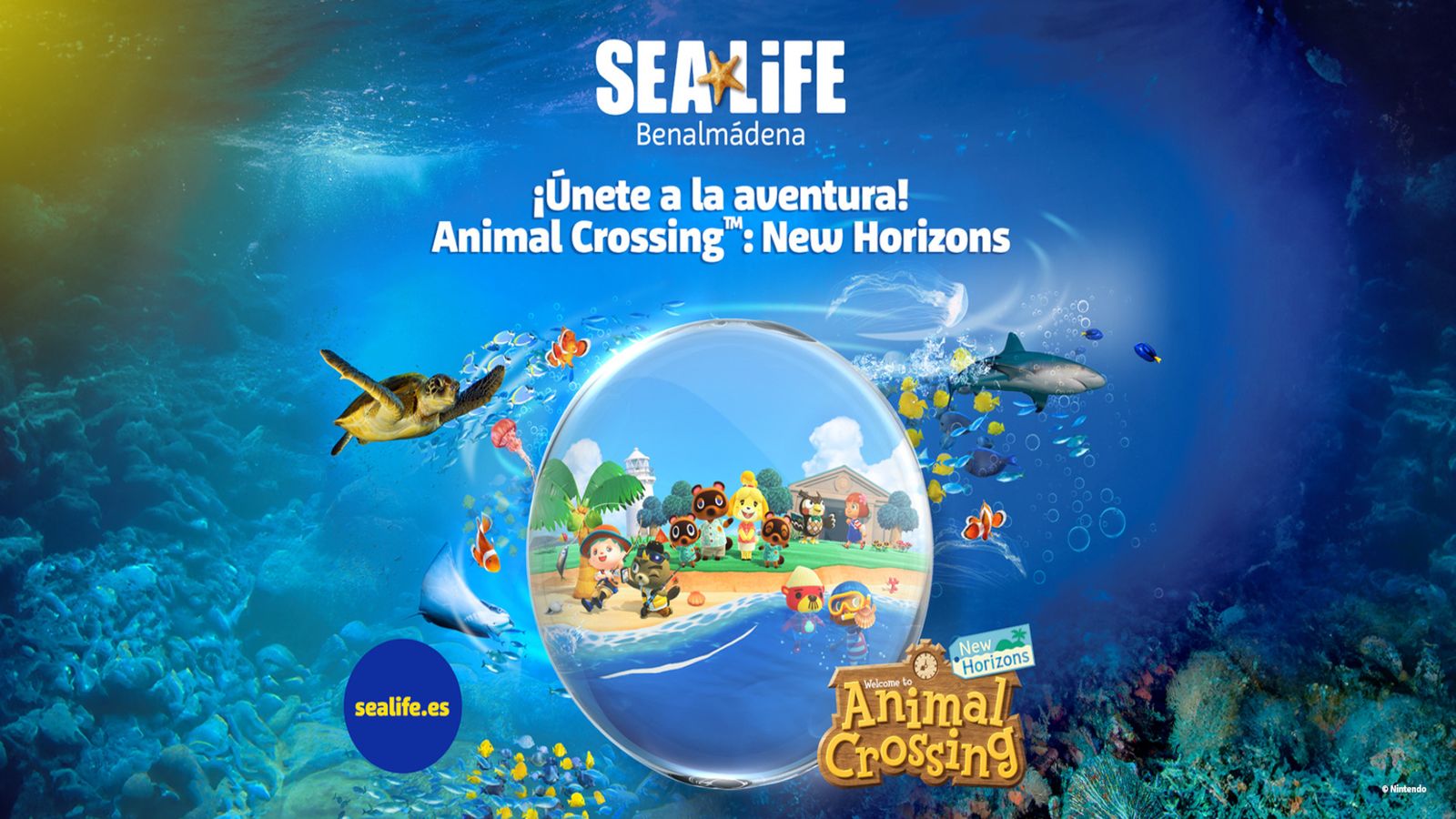 tapa sealife nintendo