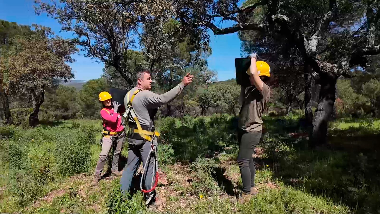 La primera escuela de piñeros de Andalucía mejora el manejo del monte mediterráneo