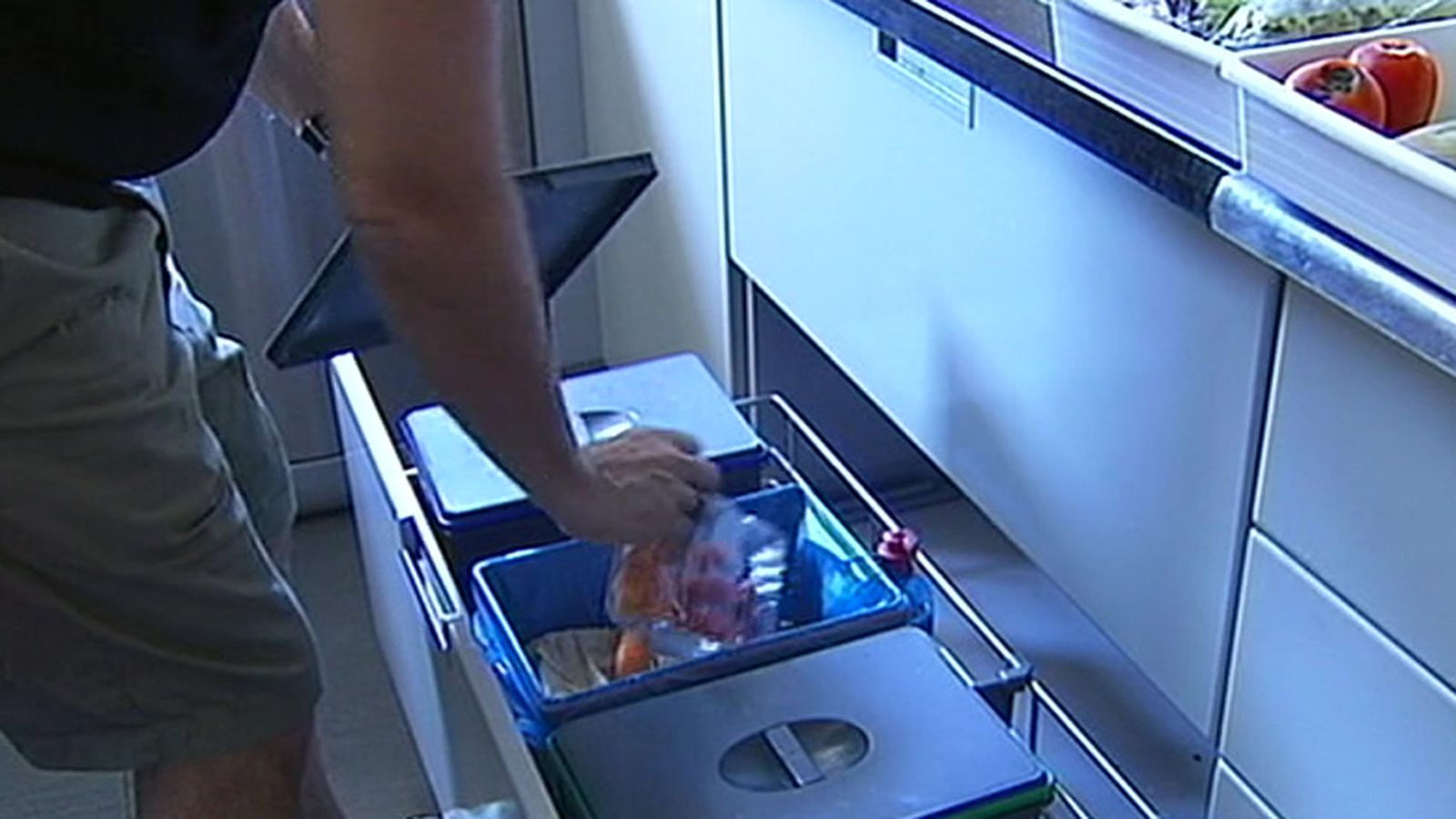 alimentos