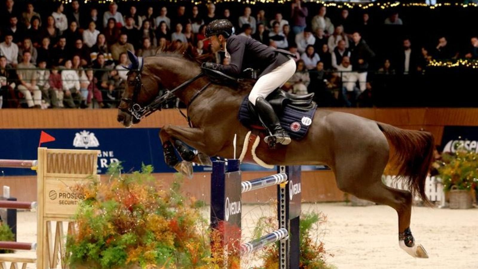 Copa del Mundo salto hípica