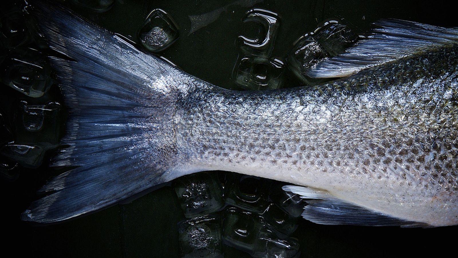Los falsos mitos del pescado