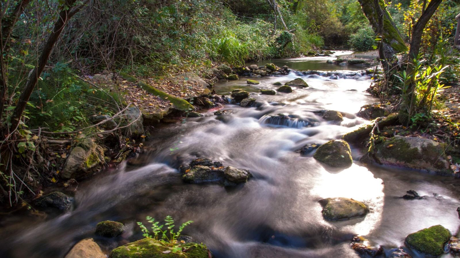 El río Majaceite en la provincia de Cádiz