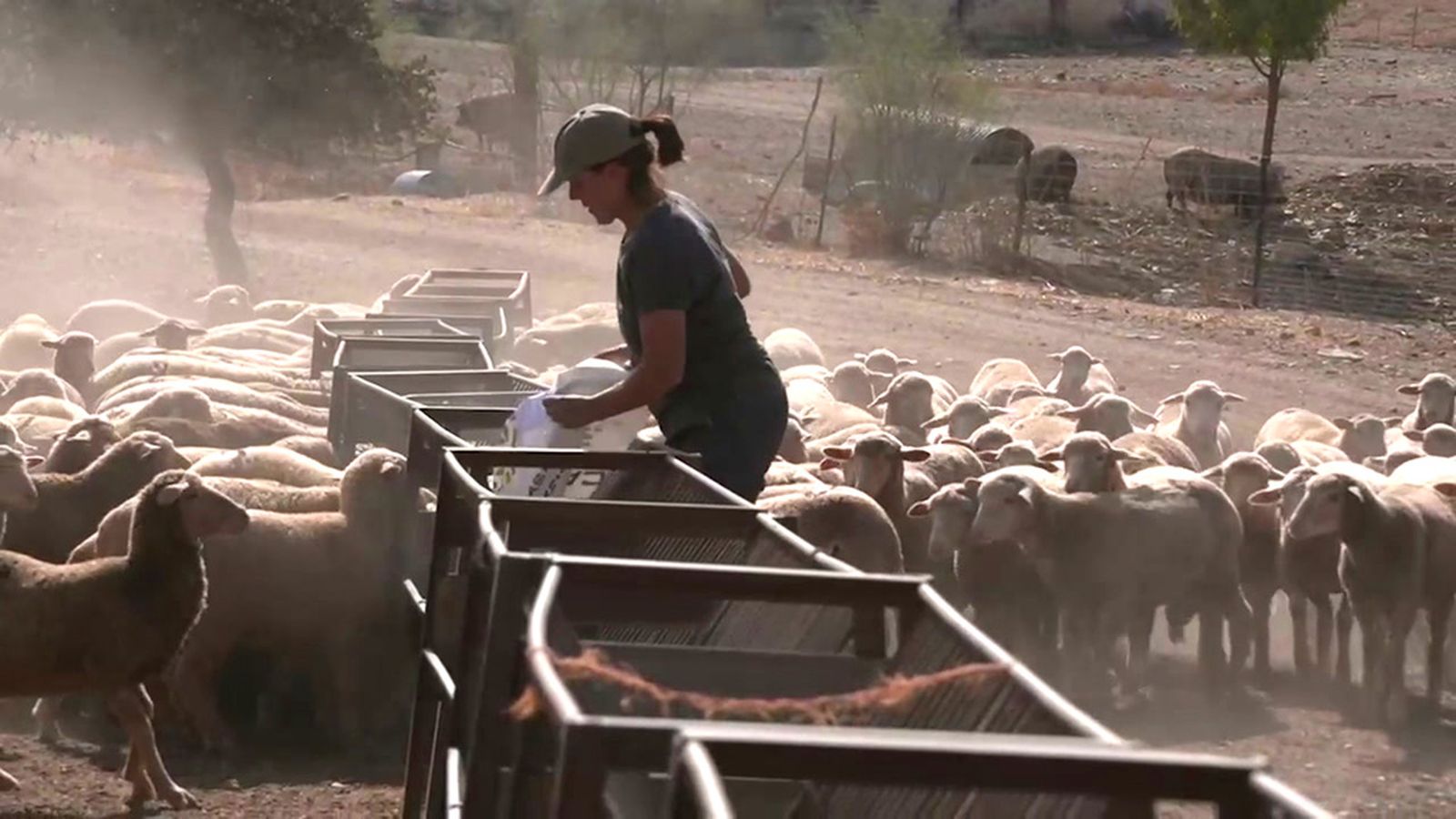La Escuela de Pastores forma a jóvenes para cuidar el entorno y fijar la población rural