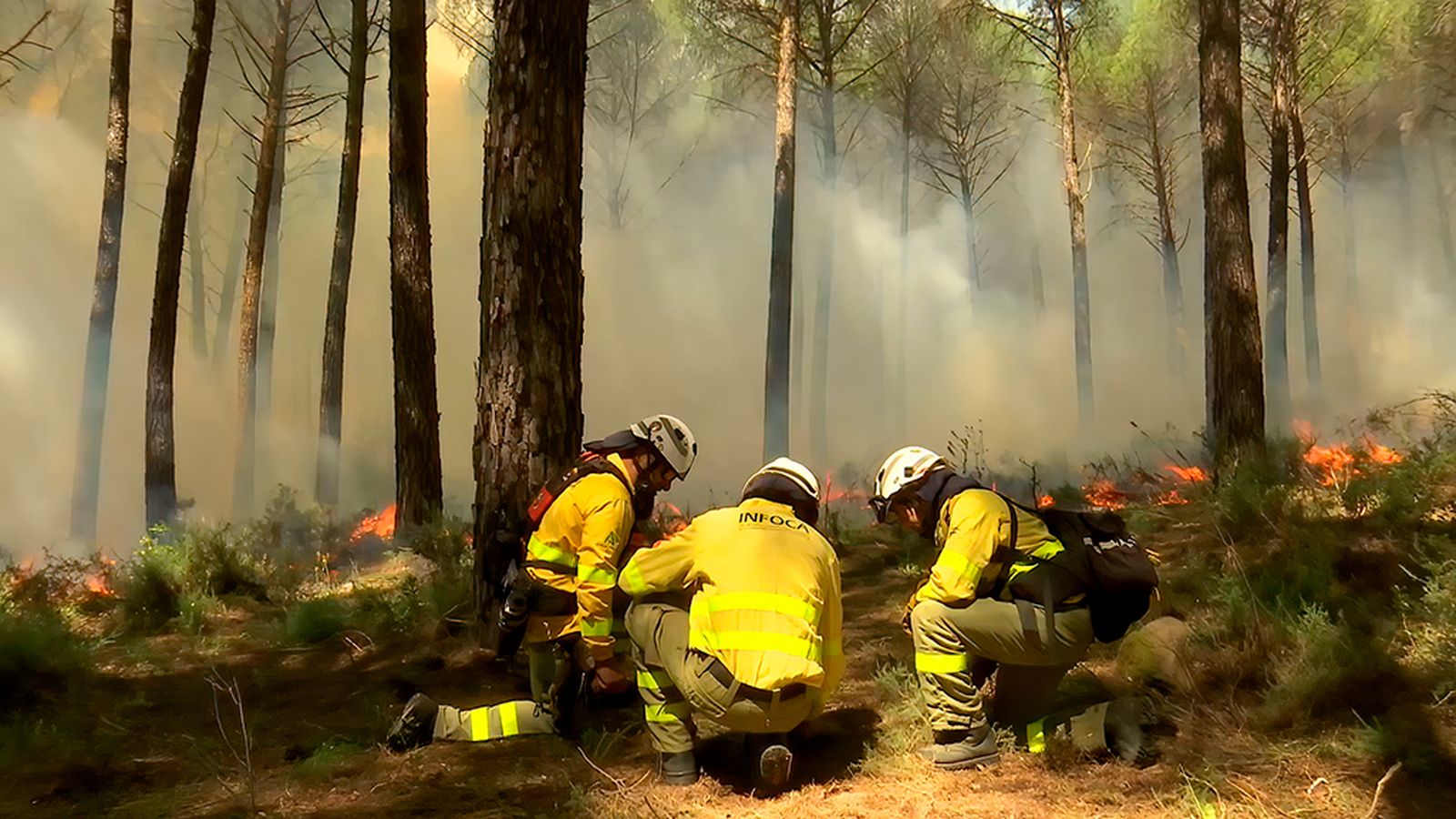 El fuego bueno: quemas controladas para prevenir incendios