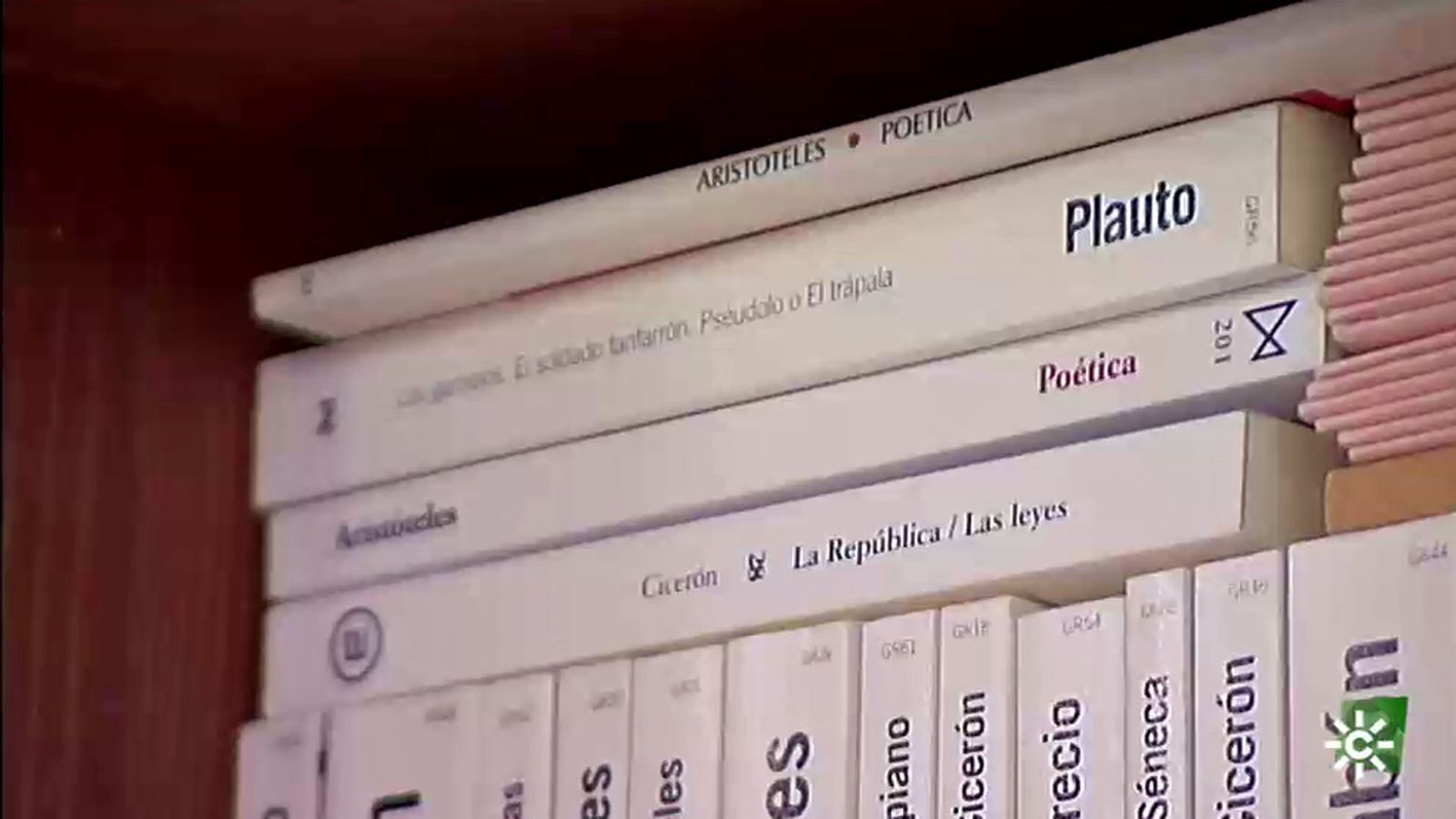 foto biblio2