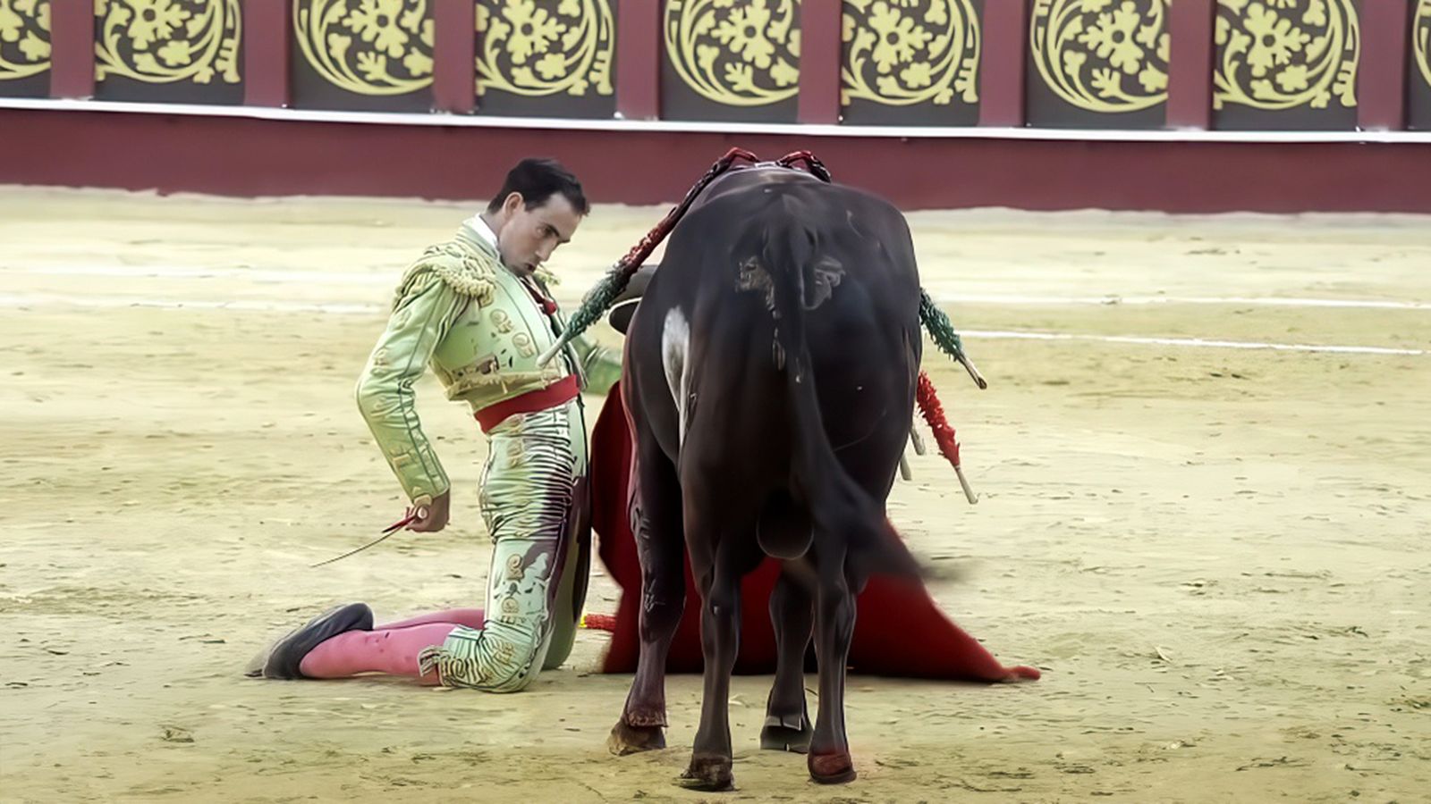 La gran faena de Fortes en la Malagueta