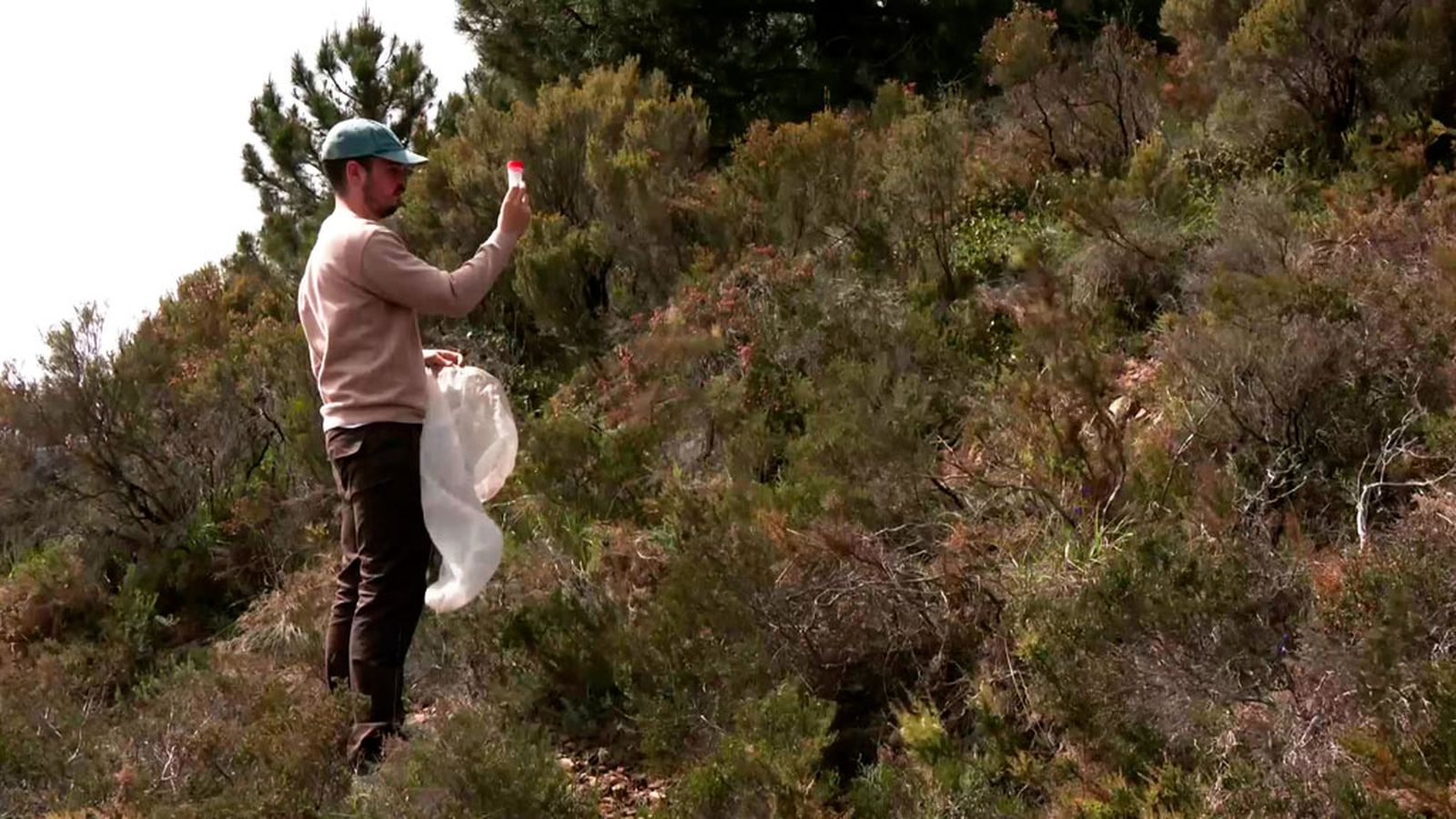Herrizas, un tapiz vegetal que multiplica la biodiversidad
