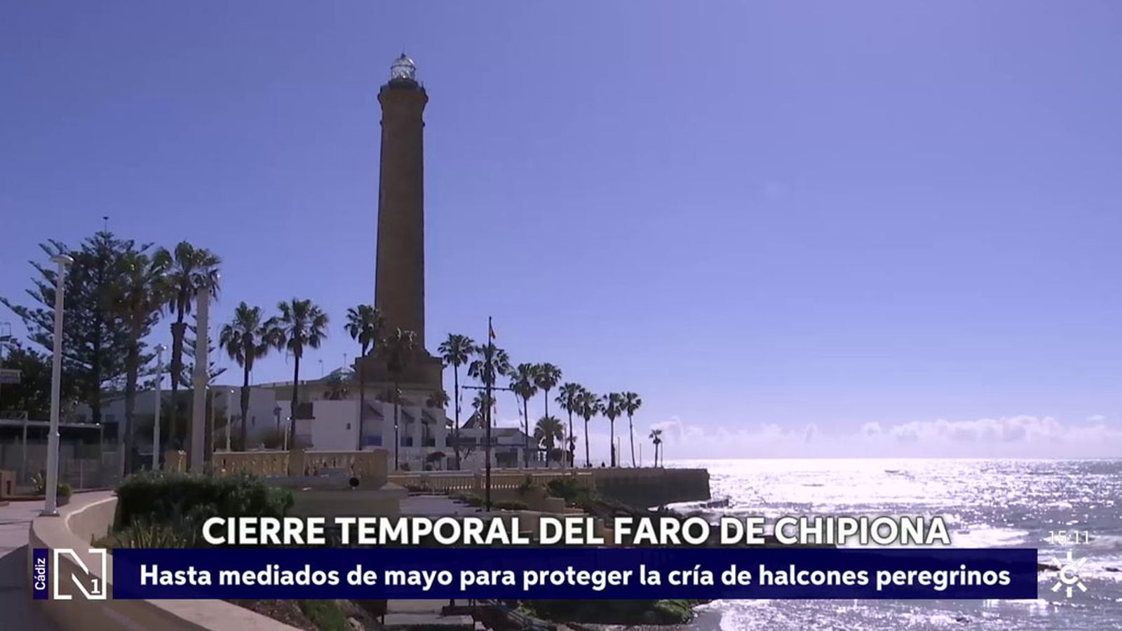 Cierre temporal del faro de Chipiona para proteger la cría de halcones peregrinos