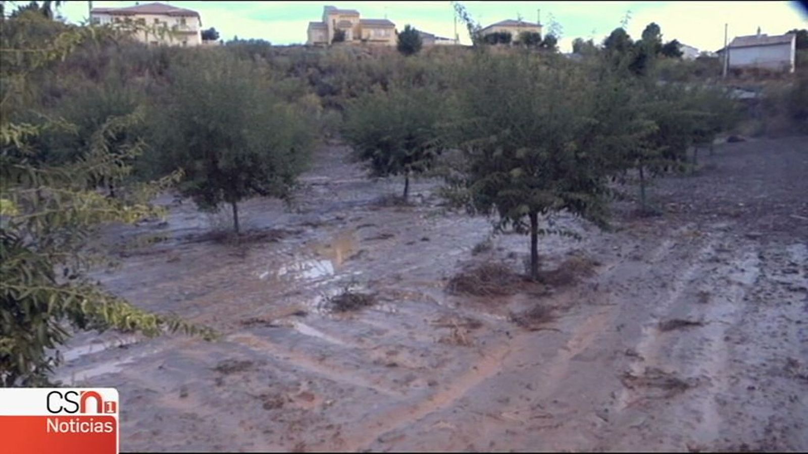 Almendros y barro