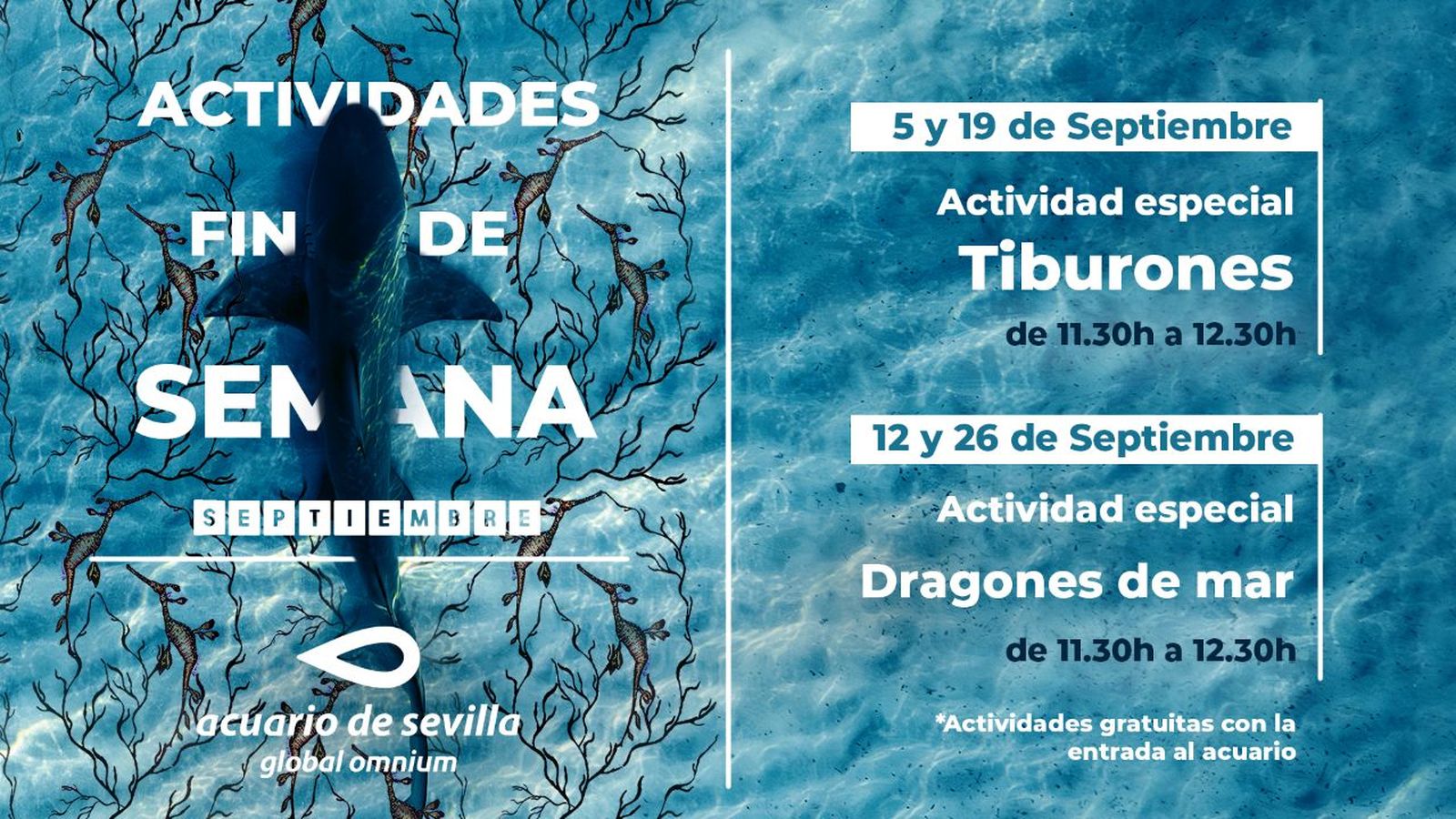 Talleres fin de semana en el Acuario de Sevilla