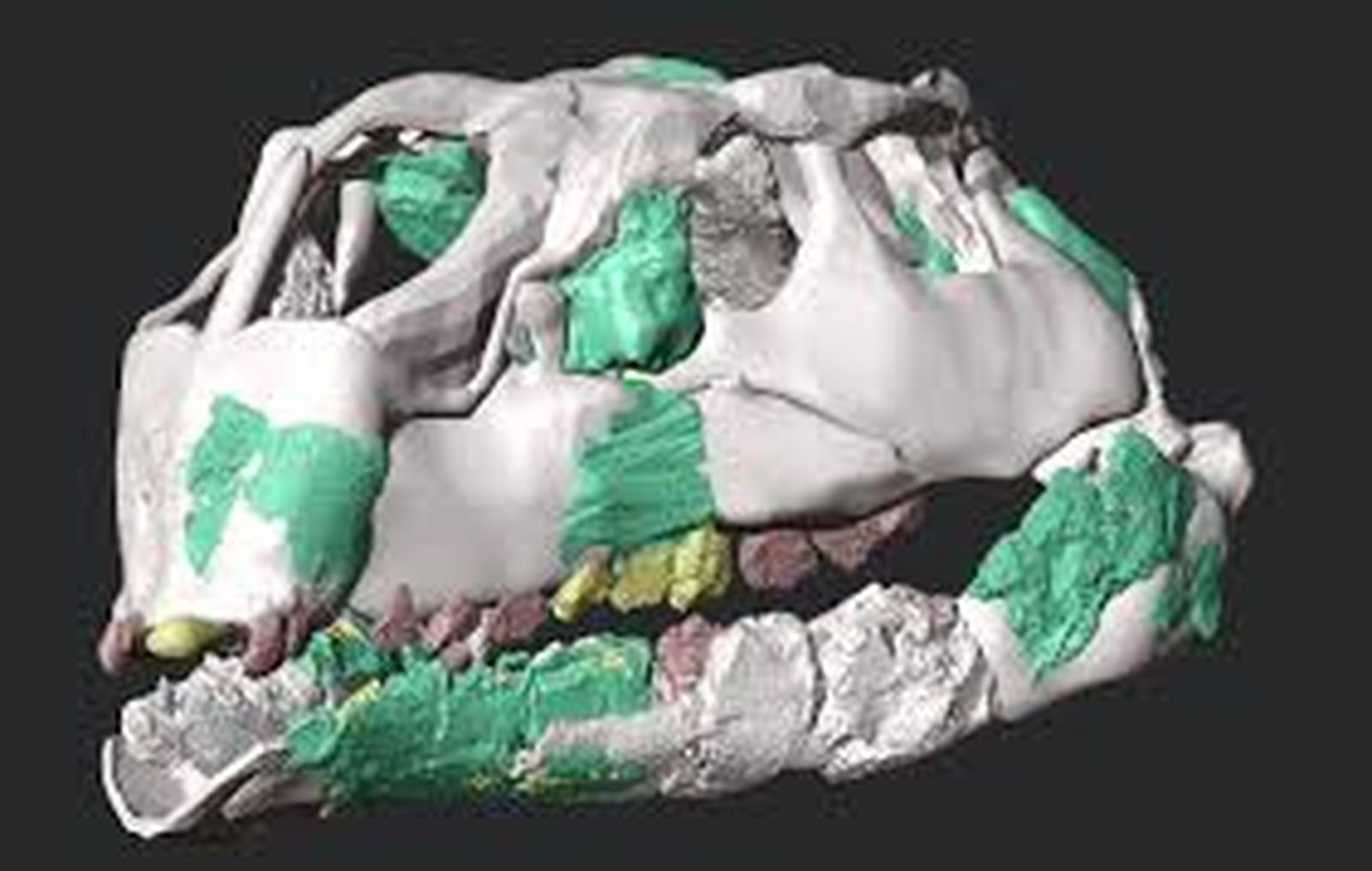 minidinosaurio