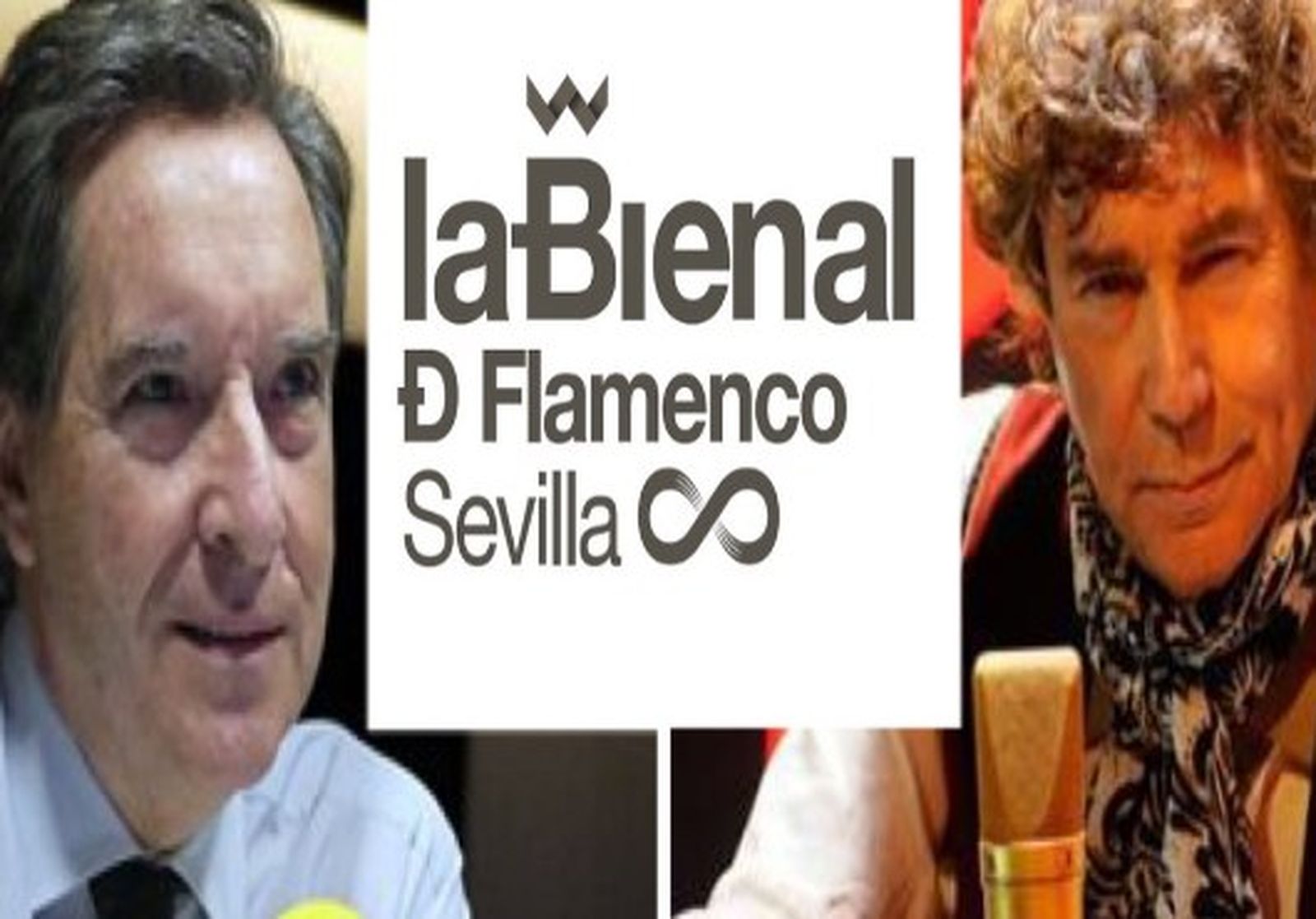 Congreso de Flamenco 530