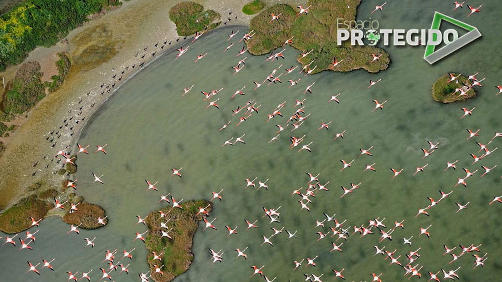 Espacio Protegido 800x450 estuario del Guadalquivir