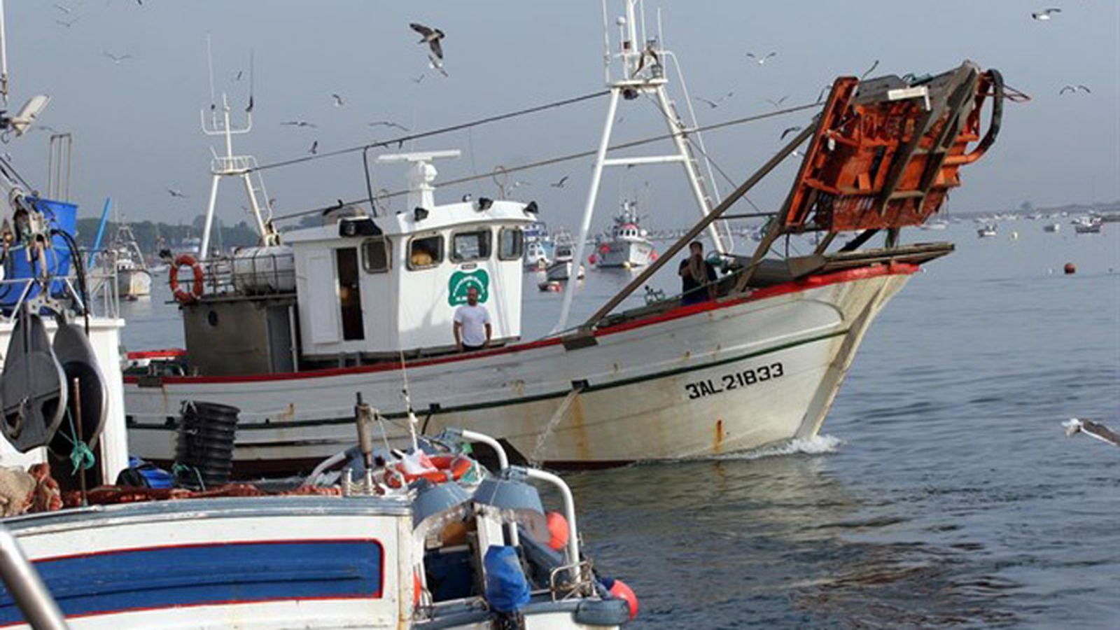 Pesca Babate 800