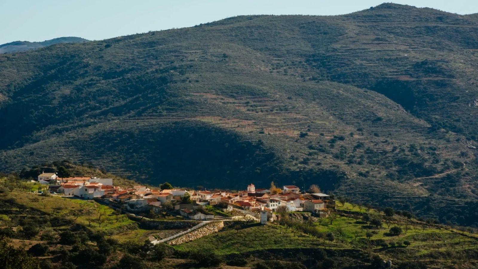 Benitagla