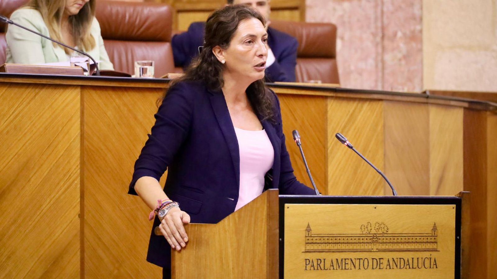 loles lopez parlamento