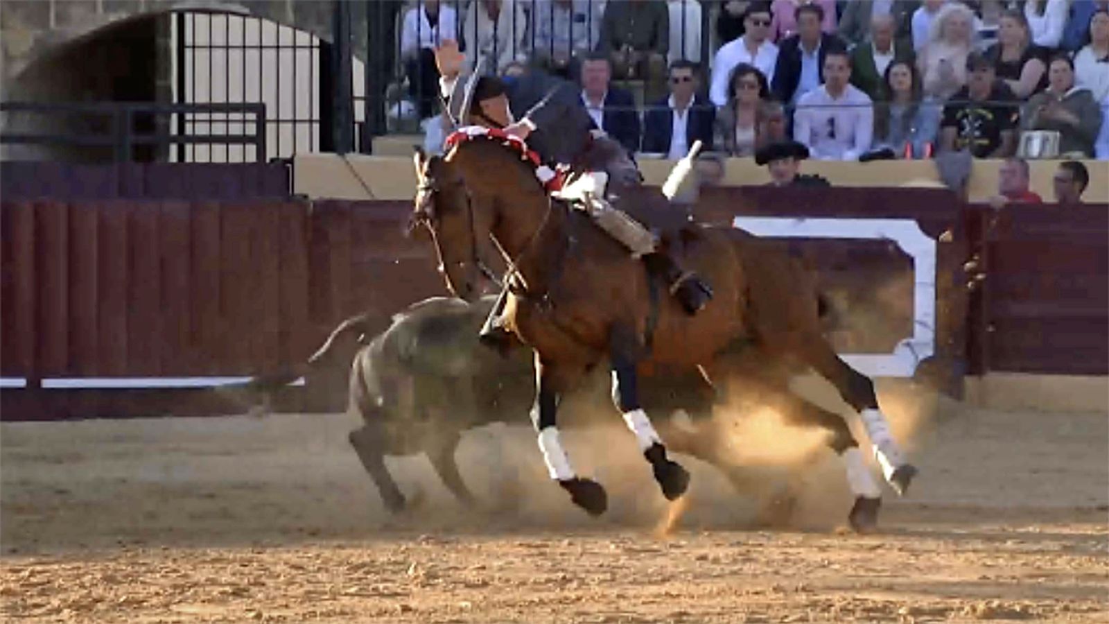 COMUNICACIÓN TOROS PARA TODOS REJONES