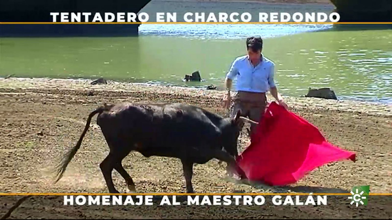Imágenes espectaculares de un imprevisible tentadero a campo abierto