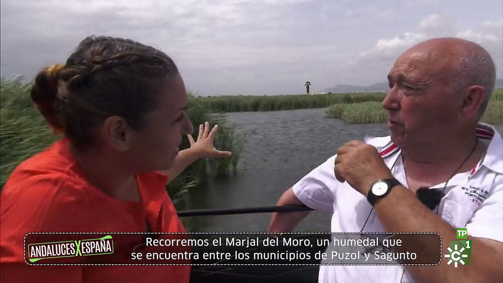 tapa sagunto manolo