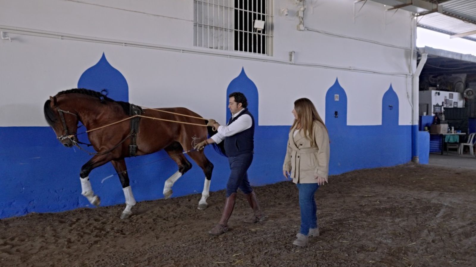 caballo 26 abril