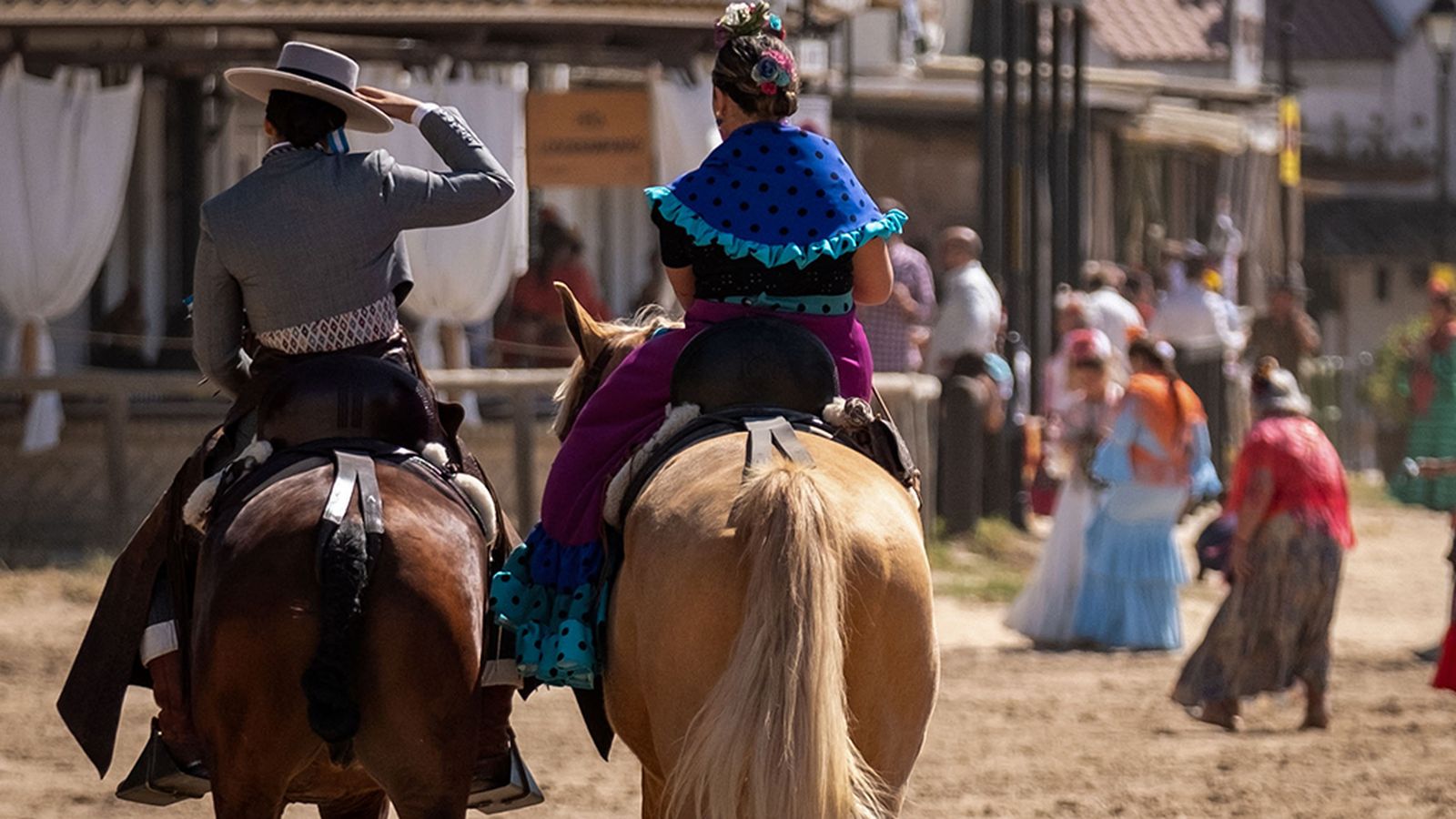 Caballos en el Rocío