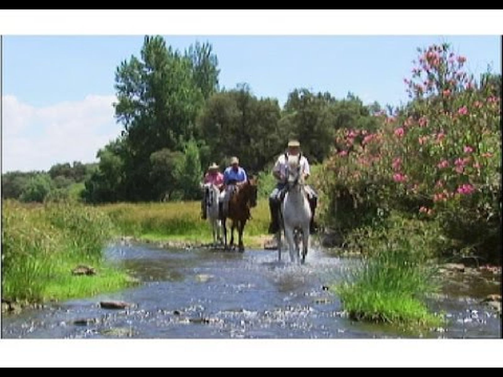 El Camino de Santiago en Andalucía (2004)