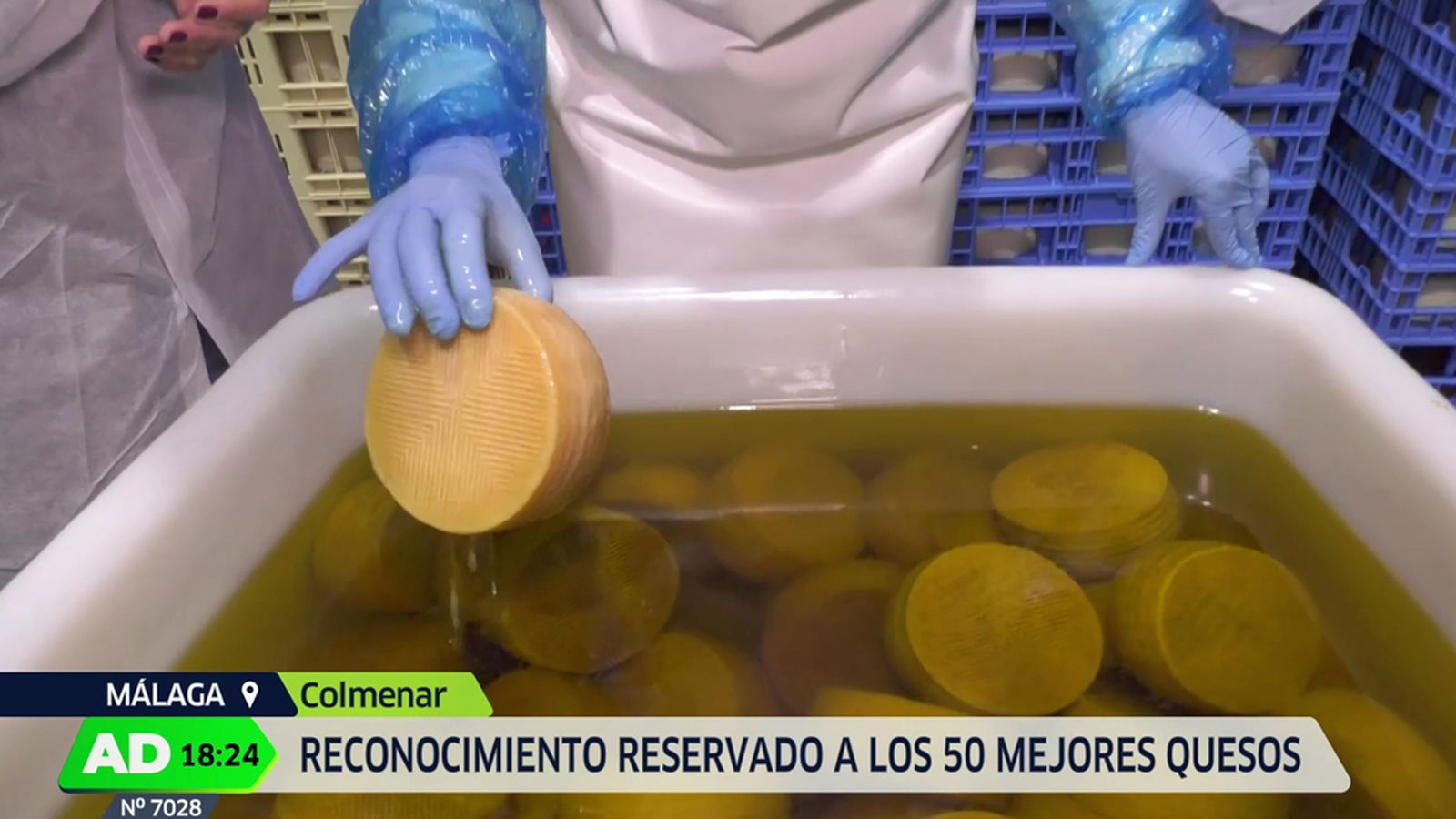 Un queso andaluz, entre los mejores del mundo