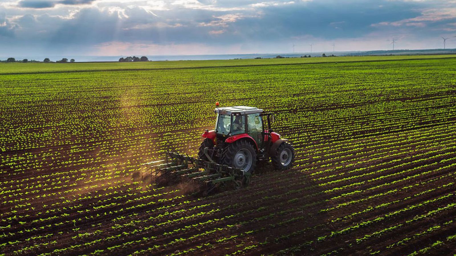 Materia Prima  Tractor 1024x576 Radio