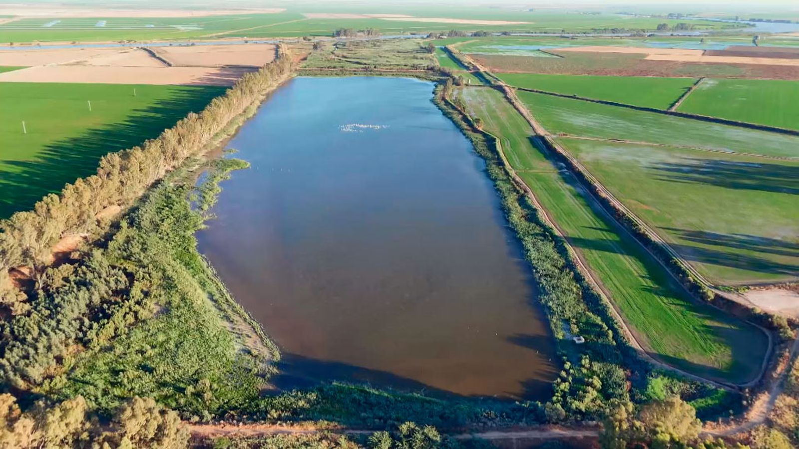 La restauración de humedales en el Guadalquivir
