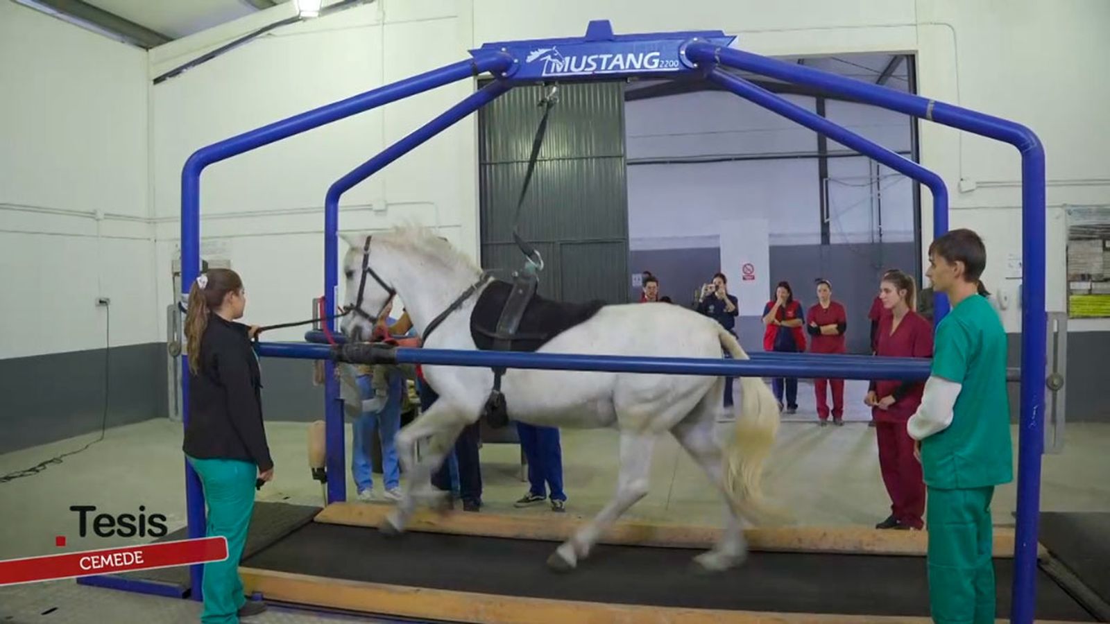 Un centro al servicio del deportista más completo: el caballo