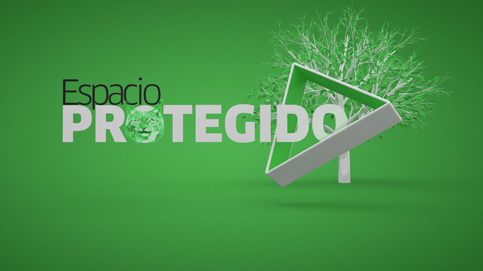 Comunicación RSC Programas Medio Ambiente
