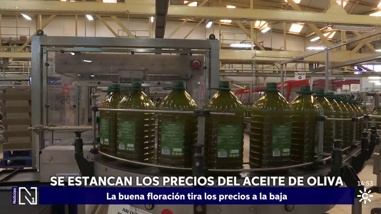 El precio en origen del aceite de oliva se estanca
