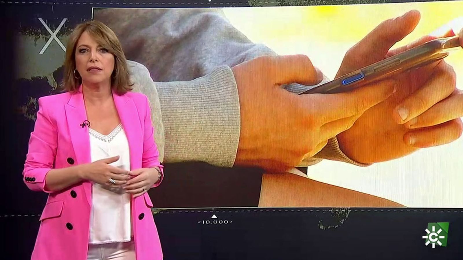 Los Reporteros. Menores e Internet