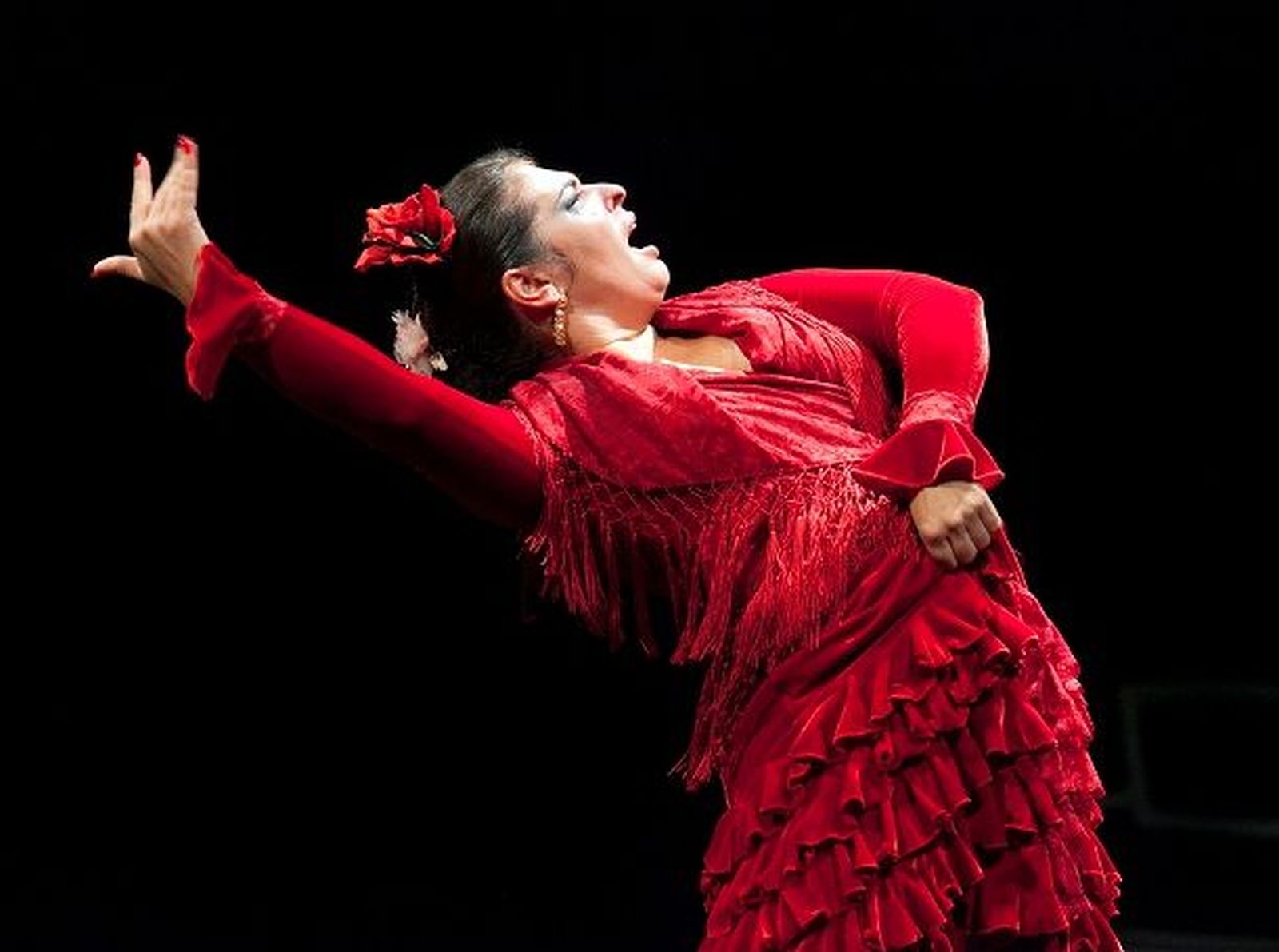 Pastora Galvan 530