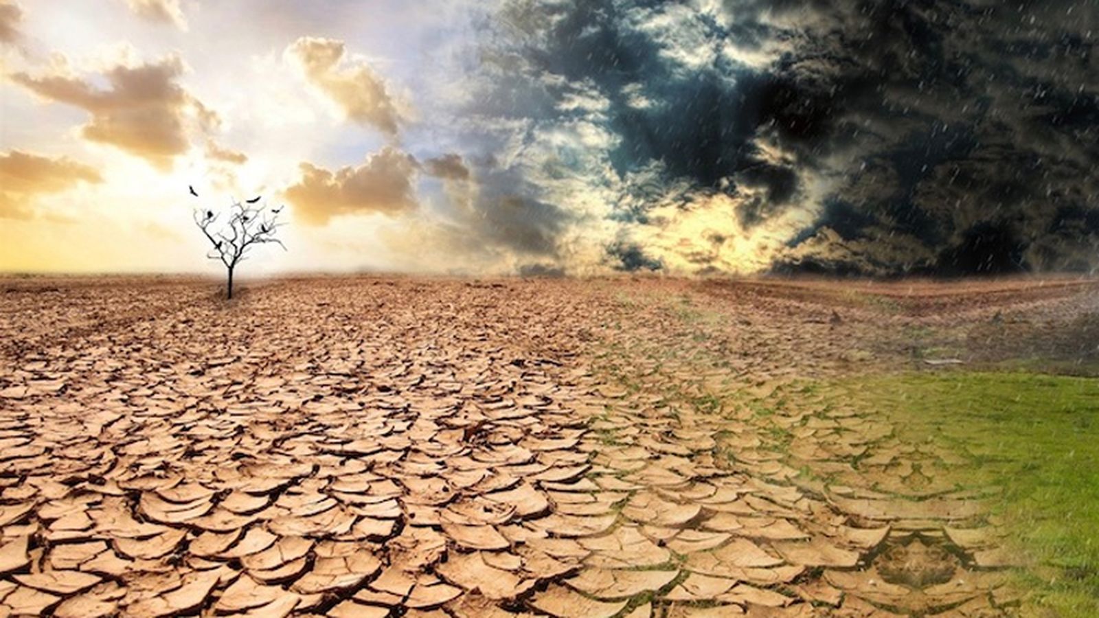 cambioclimatico