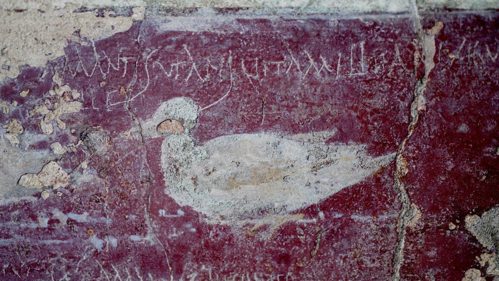 foto pompeya2